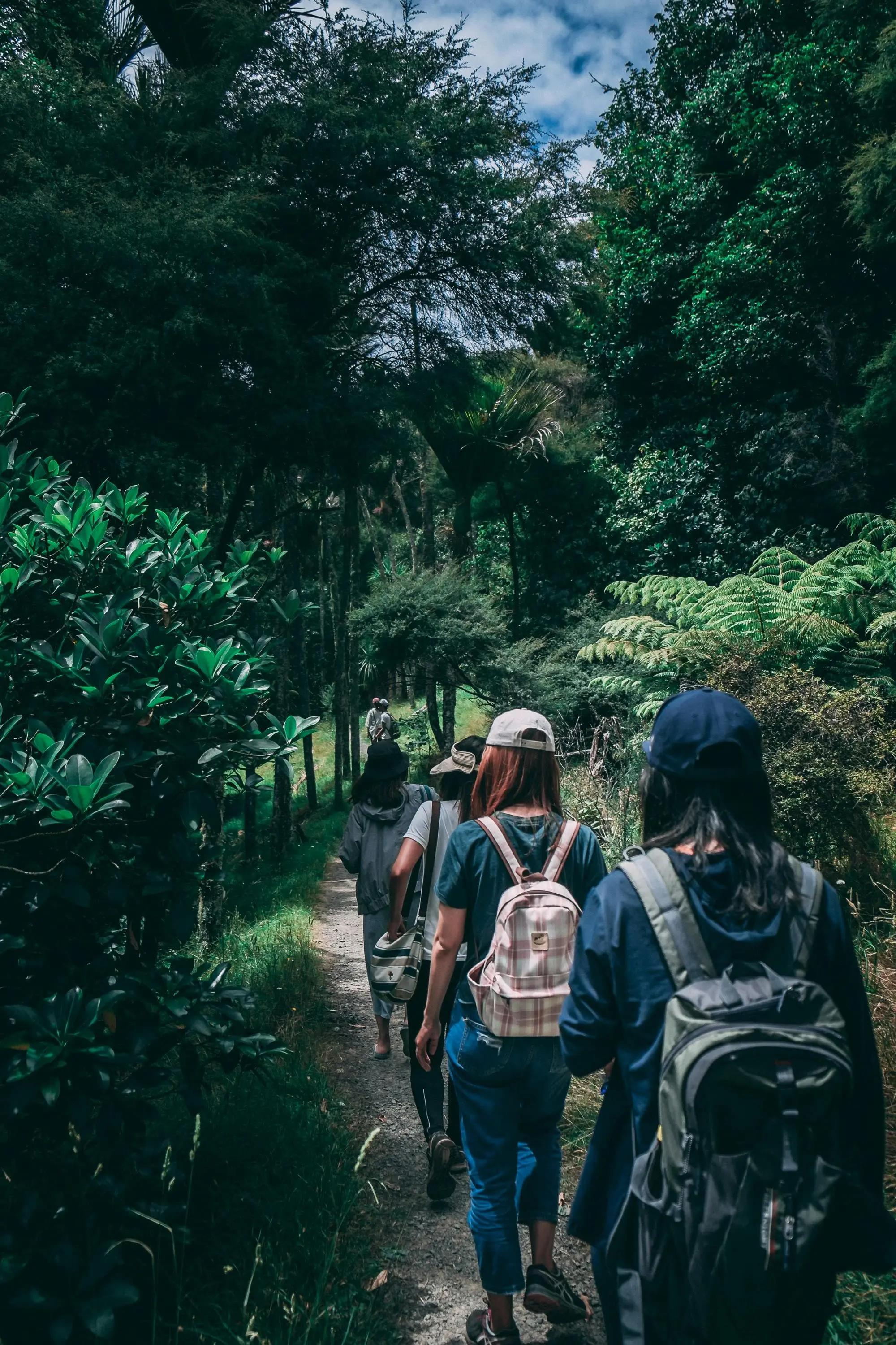 Foto de una excursión en montaña