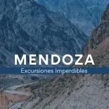 Viñedos de Mendoza